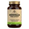 Boswellia Resin Extract - 60 vcaps