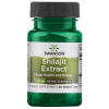Shilajit extrakt, 100mg - 30 kapslar