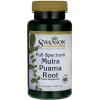 Swanson - Full-Spectrum Muira Puama Root