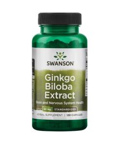 Swanson - Ginkgo Biloba Extract 24%