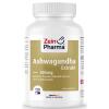 Zein Pharma - Ashwagandha Extract