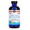Arctic Cod Liver Oil