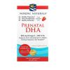 Prenatal DHA