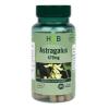 Astragalus