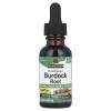 Burdock Root