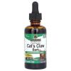 Cat's Claw Bark
