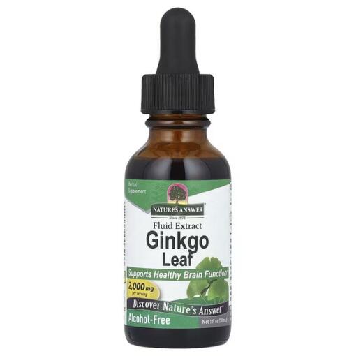 Ginkgo Leaf