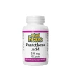 Natural Factors Panthothenic Acid 250 mg (90 Capsules)