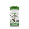 Nature's Way - Bladderwrack  (100 Capsules)