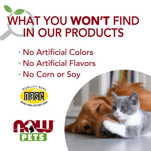 NOW Pets - Podpora prebavnemu sistemu za pse in mačke - slika 4