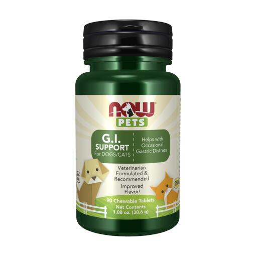 G.I. Support for Dogs & Cats