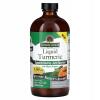 NATURE'S ANSWER Turmeric with Black Pepper (480 ml)