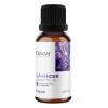 OSTROVIT Lavender Essential Oil (10 ml / 0