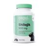 Shilajit