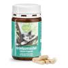 TIERLIEB Green-lipped Mussel Cat Capsules (90 caps)