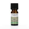 TISSERAND AROMATHERAPY Basil Ethically Harvested Oil (30 ml / 1 fl. oz.)