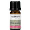TISSERAND AROMATHERAPY Jasmine Absolute Jasminum Officinale Ethically Harvested (2 ml / 0