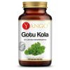 YANGO Gotu kola (100 caps)