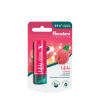 Himalaya Lip Balm (4