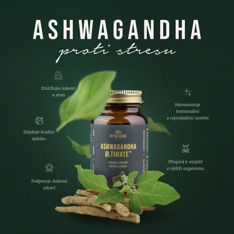 Vitalvibe - Ashwagandha Ultimate Organic KSM-66® ekstrakt 500 mg, kapsule - slika 3