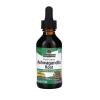 Ashwagandha Root