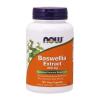 Boswellia Extract Plus Turmeric Root Extract