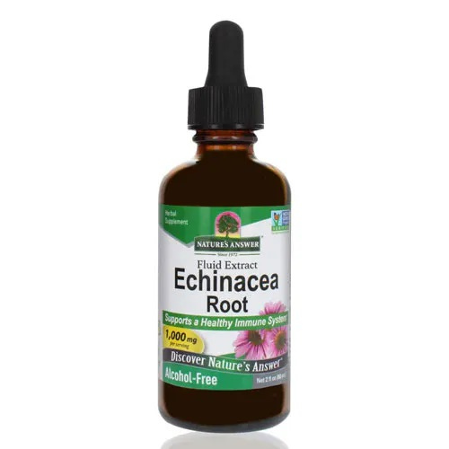 Echinacea Root