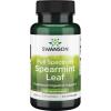 Full Spectrum Spearmint Leaf