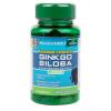Maximum Strength Ginkgo Biloba