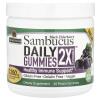 Sambucus Daily Gummies 2X Strength