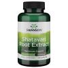 Shatavari Root Extract