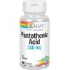 Solaray pantothenic acid 250mg 100 capsules