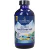 Arctic Cod Liver Oil