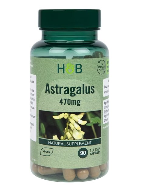 Astragalus