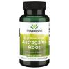 Astragalus Root