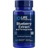 Blueberry Extract with Pomegranate - 60 vcaps