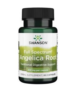 Full Spectrum Angelica Root