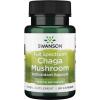Full Spectrum Chaga Mushroom