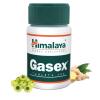 Gasex - 100 tablets