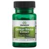 Ginkgo Biloba Extract