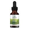 Ginkgo Biloba Liquid Extract