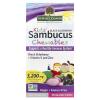 Kid's Sambucus Chewables
