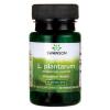 L. Plantarum Inner Bowel Support - 30 vcaps