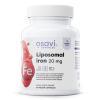 Liposomal Iron