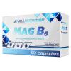 MAG B6