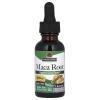 Maca Root