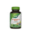 Natures Way Astragalus Root (100 Capsules)