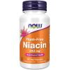 Niacin Flush-Free