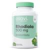 Rhodiola