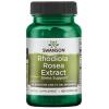 Rhodiola Rosea Extract - 60 caps